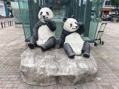 🐼 판다 광장(오카치마치 판다 히로바)